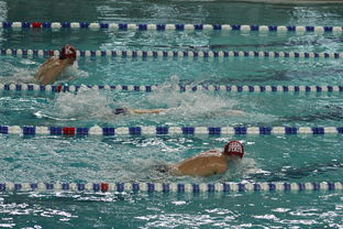 开云在线登入-“世界游泳锦标赛：2025新加坡赛场泳池掀起速度与优雅的碰撞”